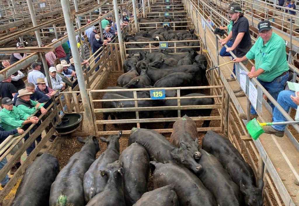 Kilcoy Global on the job of reopening Tabro Meats