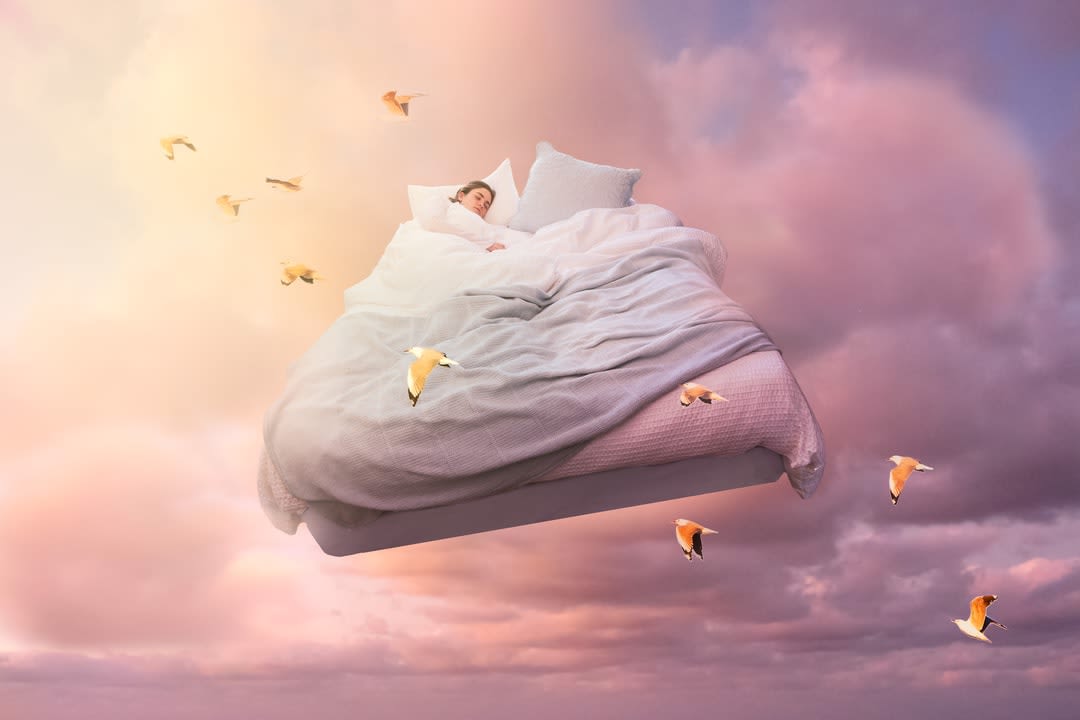 Sleep Dreams Shutting Out The World – Monash Lens