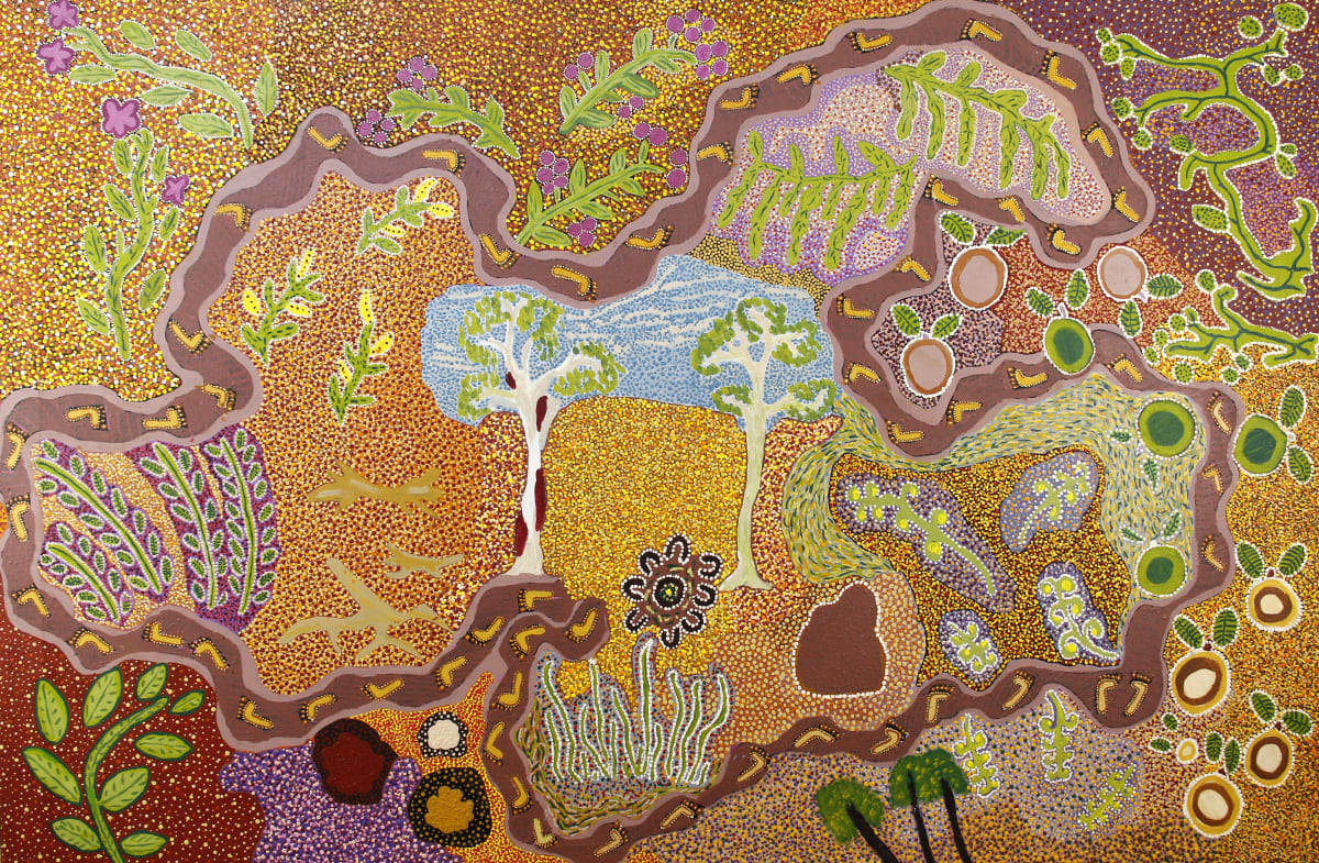 medicinal-plants-used-by-aboriginal-australians-for-healing-monash-lens