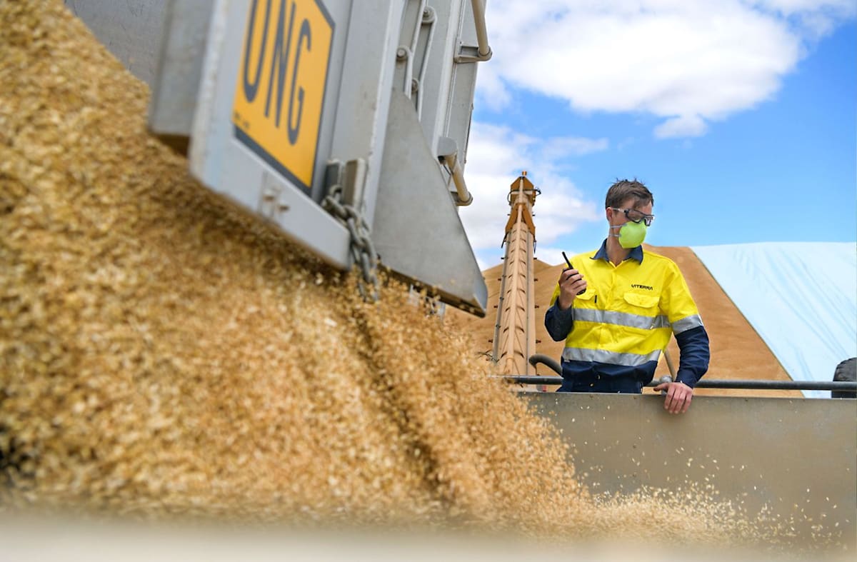 Harvesting jobs on offer throughout SA
