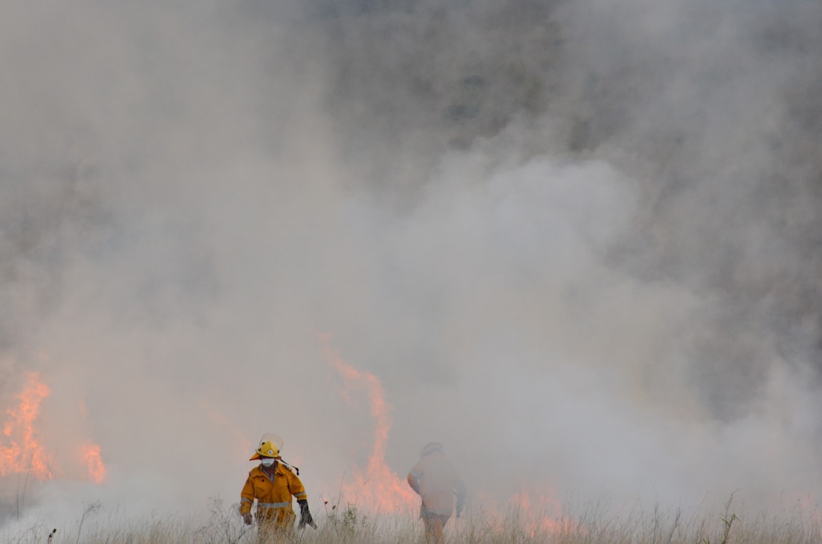 Fire trails upgraded on Tamborine Mt and Gleneagle