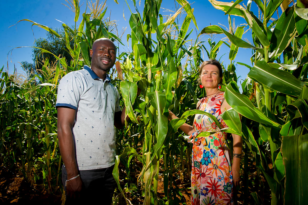 Mildura food coop goes through the maize to success