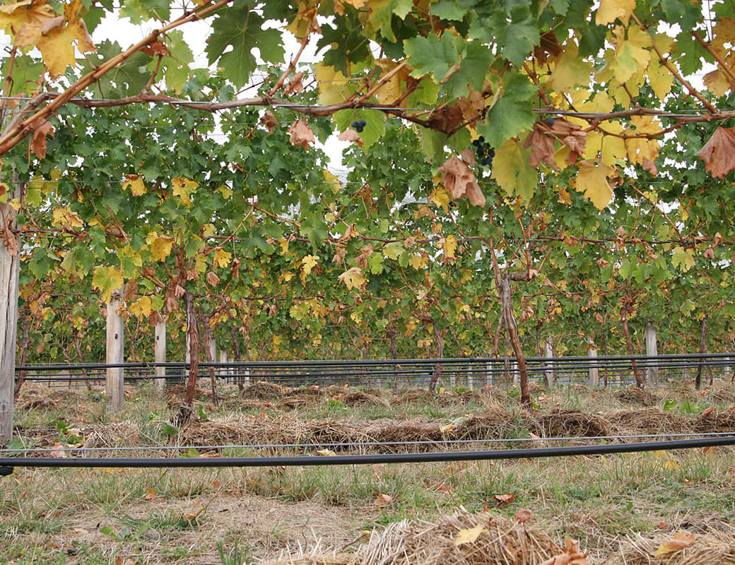 New data shows water prices could fall below 100