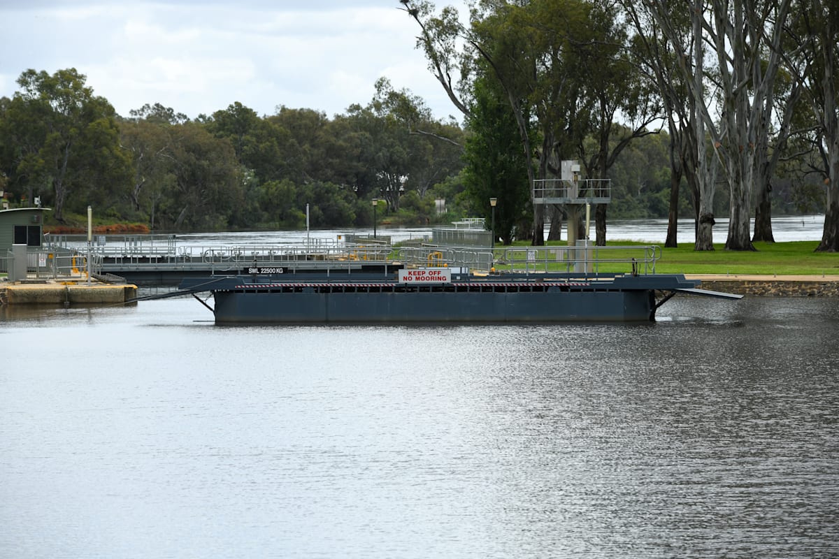 Murray River up, with more water to come
