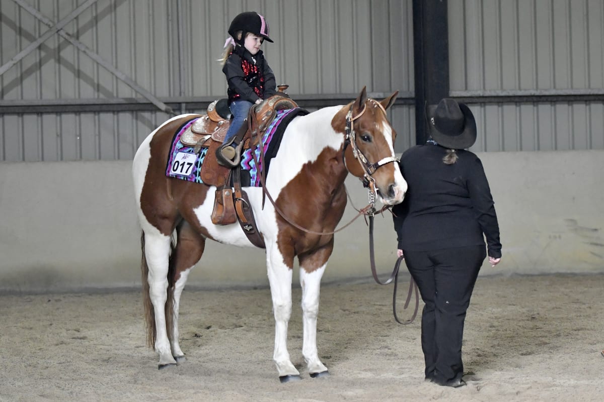 Paint horse show delights fans