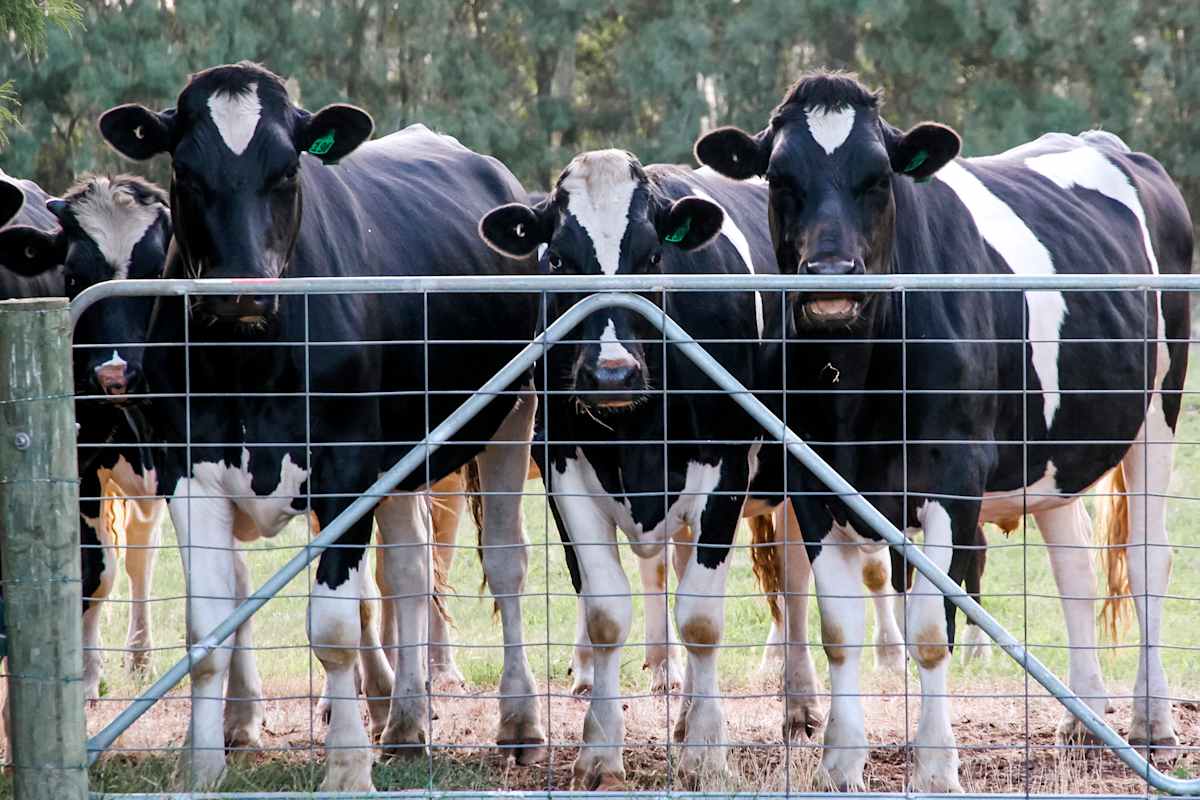Turning insights into practical farm support