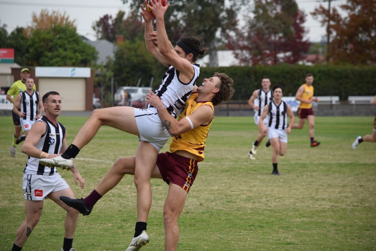 Magpies fall painfully short