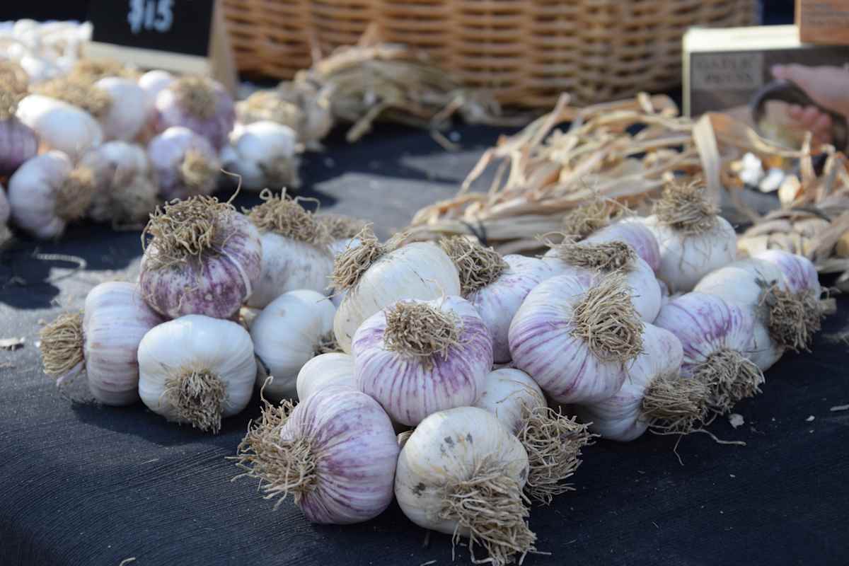 Climate change drives up food prices