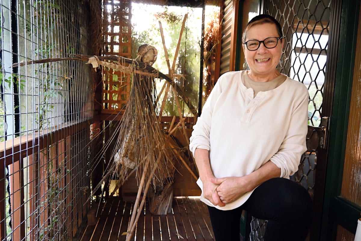 Macclesfield arts festival to paint the town