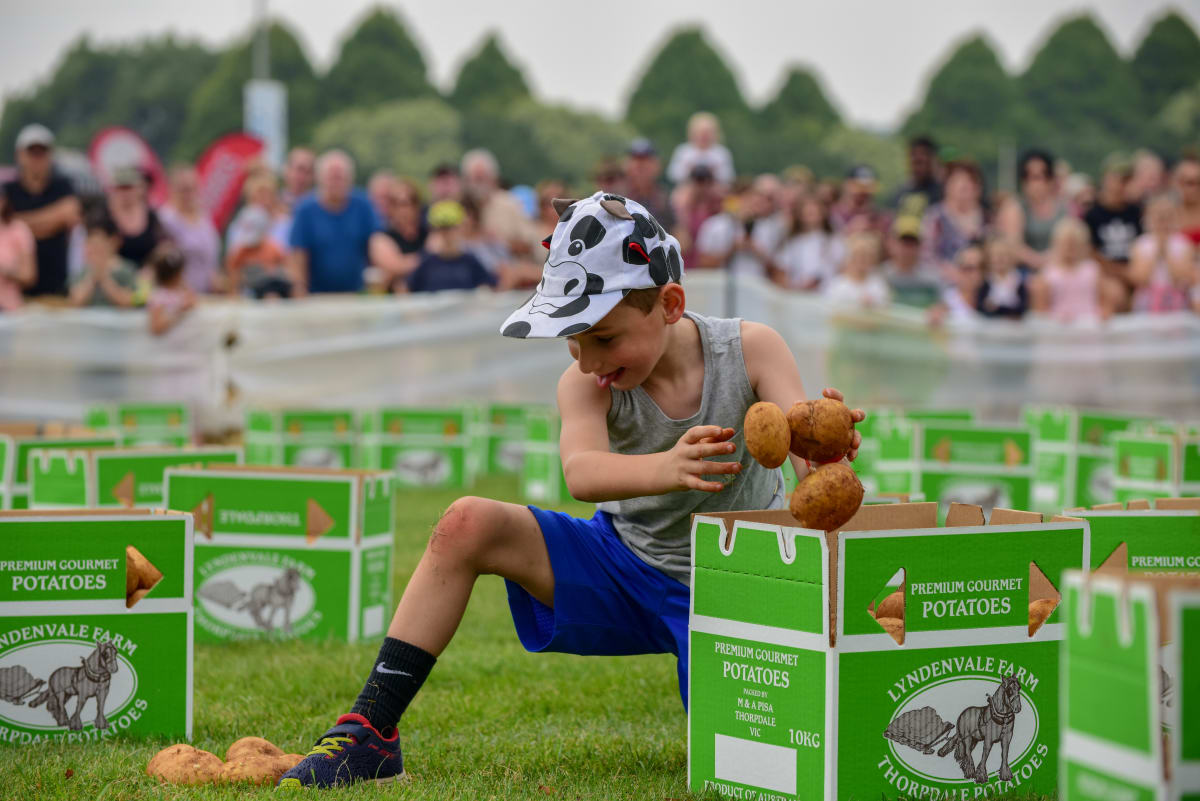 Thorpdale Potato Festival returns