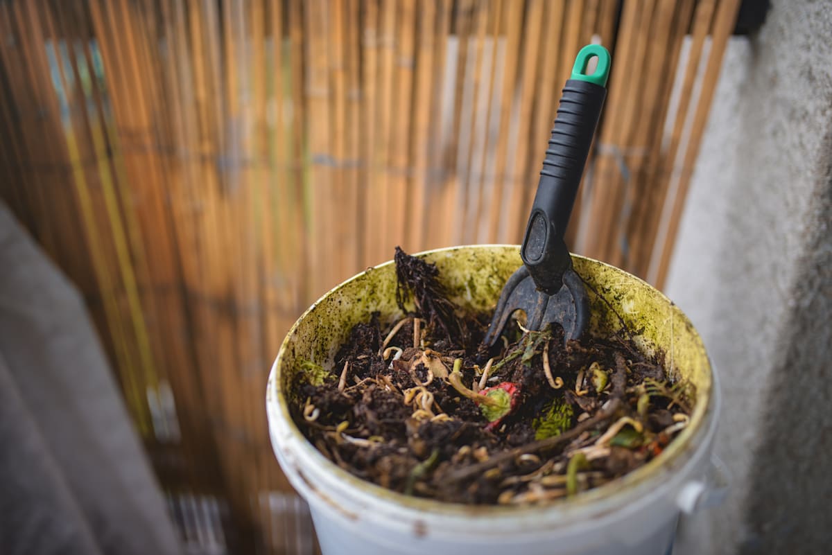 Kuringgai unit dwellers invited to take part in food waste composting