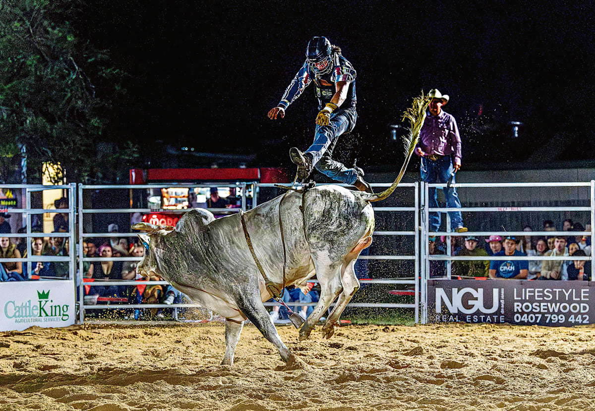 A Walk on the Wild Side