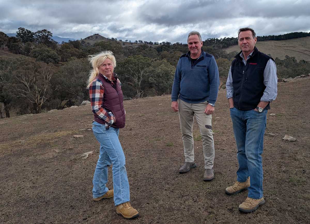 An open letter from the Mt Samaria area sheep farmers