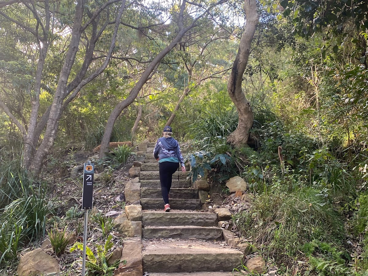 Stairway to Bald Hill heaven First look at new walk to Stanwell Park