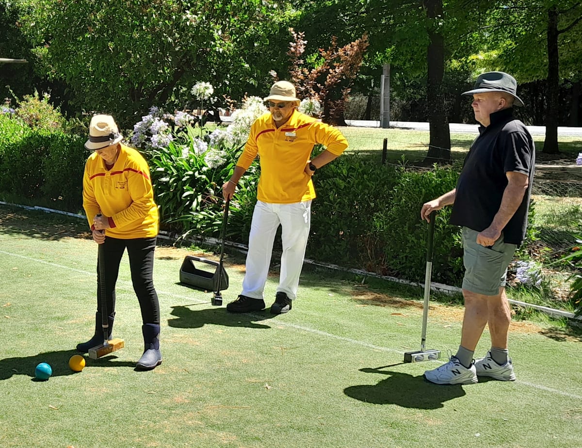 Croquet coaching masterclass