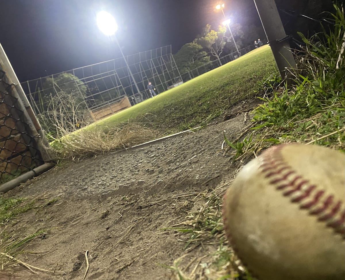 Baseball Illawarra pitches America's pastime to Wollongong locals