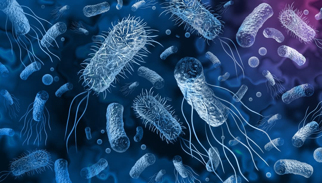 Superbugs The health threat that has failed to capture public