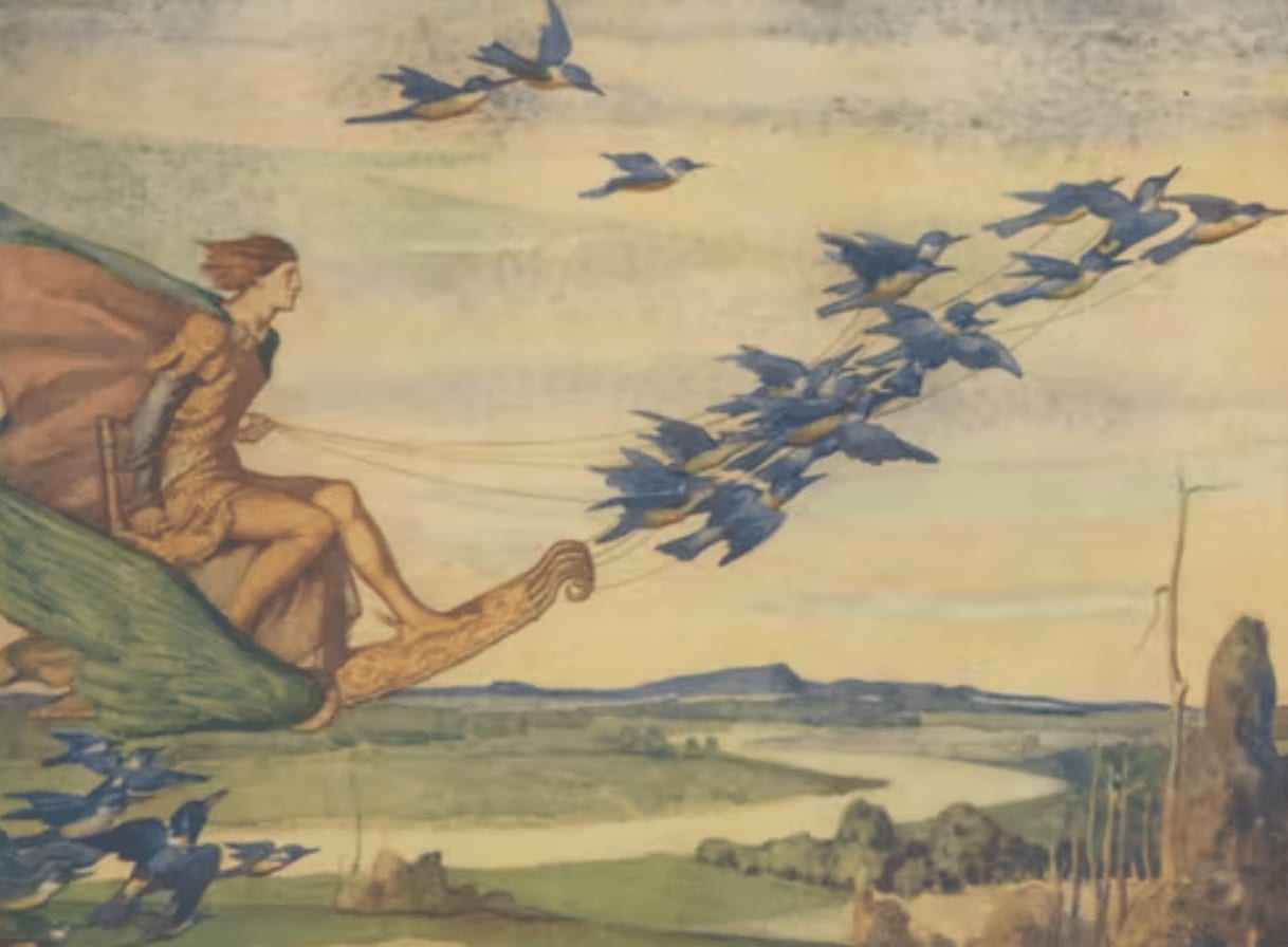 A prince flies in a carriage propelled by kingfishers in Hume Cook’s Australian Fairytales. 