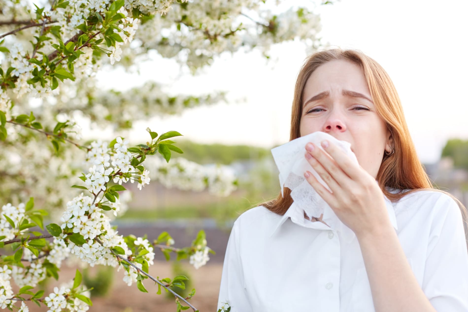 A woman in a white shirt, holding a tissue and about to sneeze in front of a blossom tree