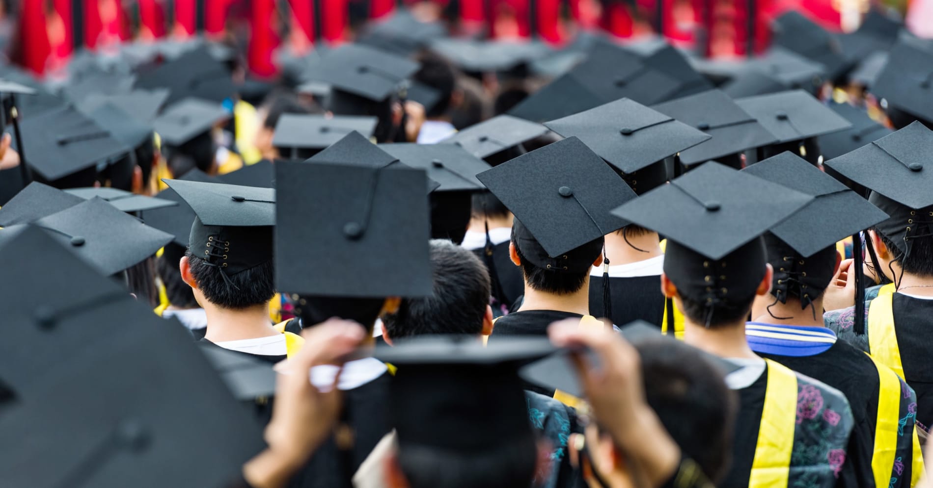 Group of students wearing graduation caps and gowns, photographed from behind