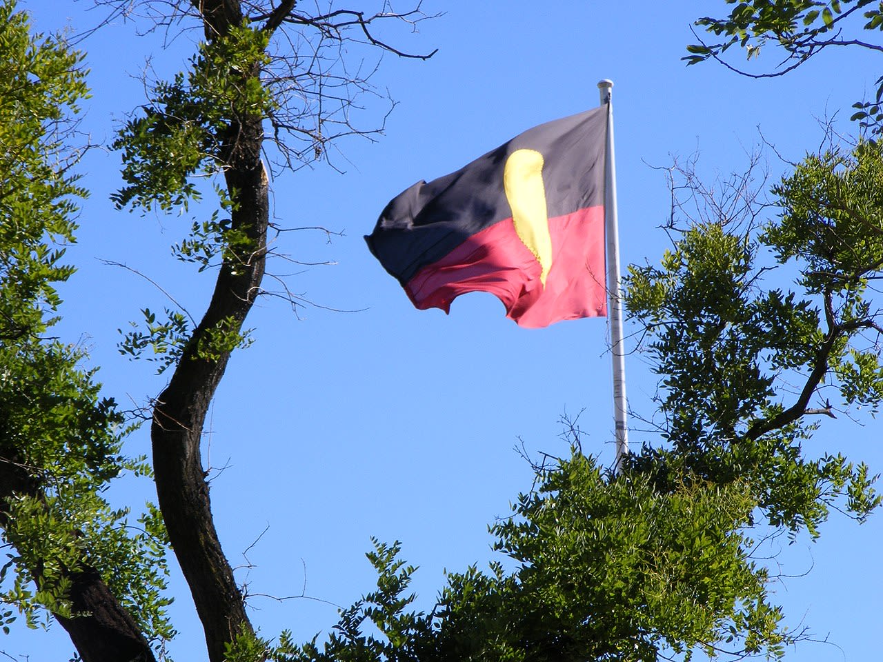 An Aboriginal flag flying in front of trees