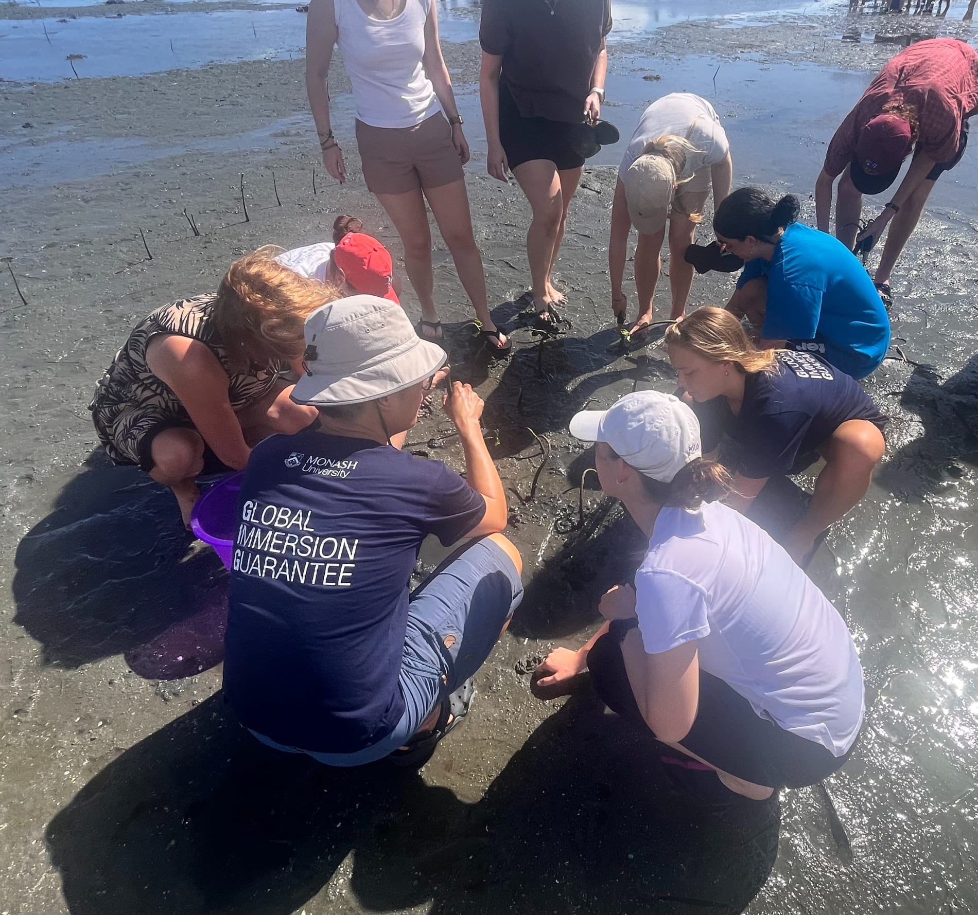 Monash University students and staff explore Fiji's mangroves, as part of the Global Immersion Guarantee program..