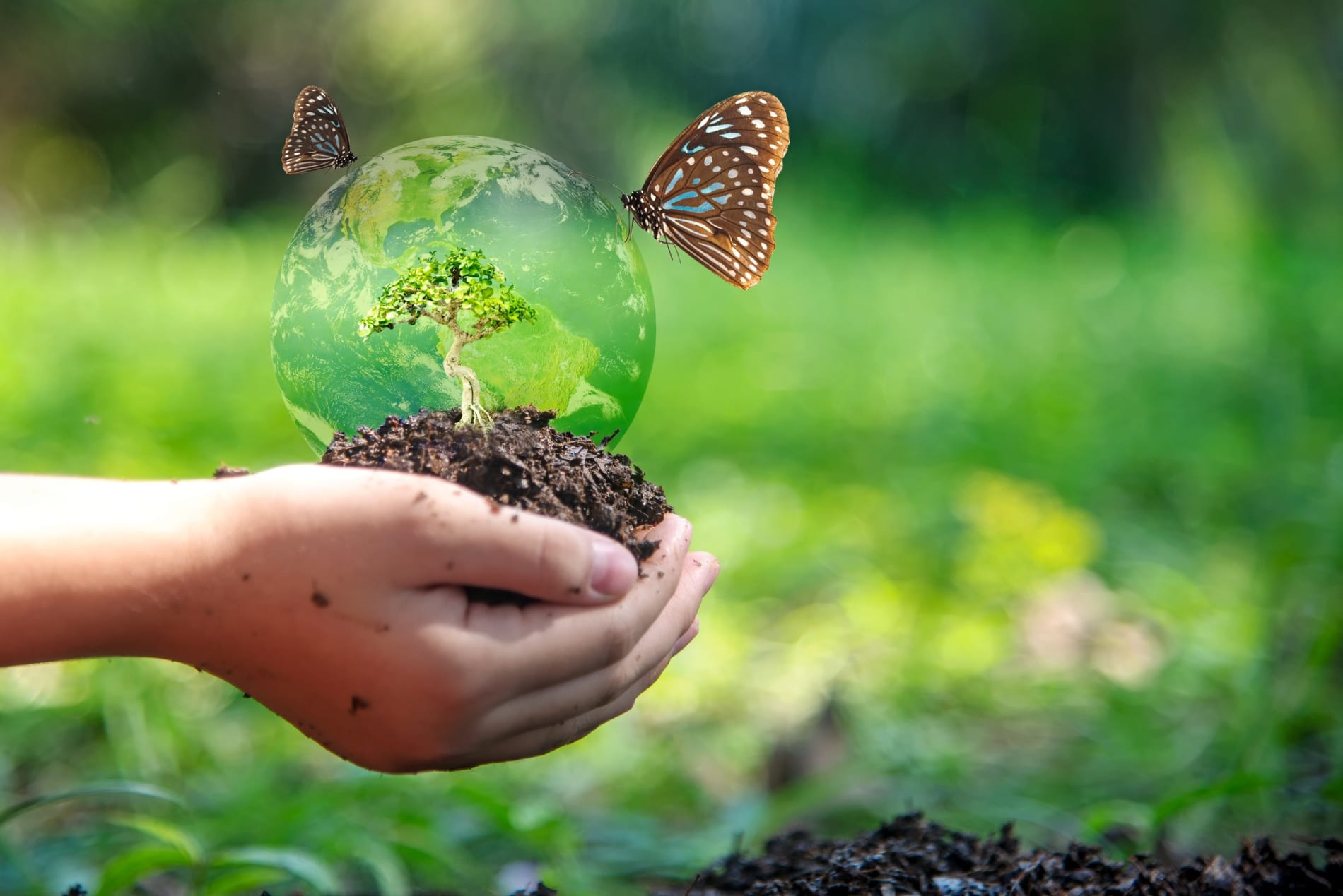 Child cradling a clear ball with tree inside and butterfly.