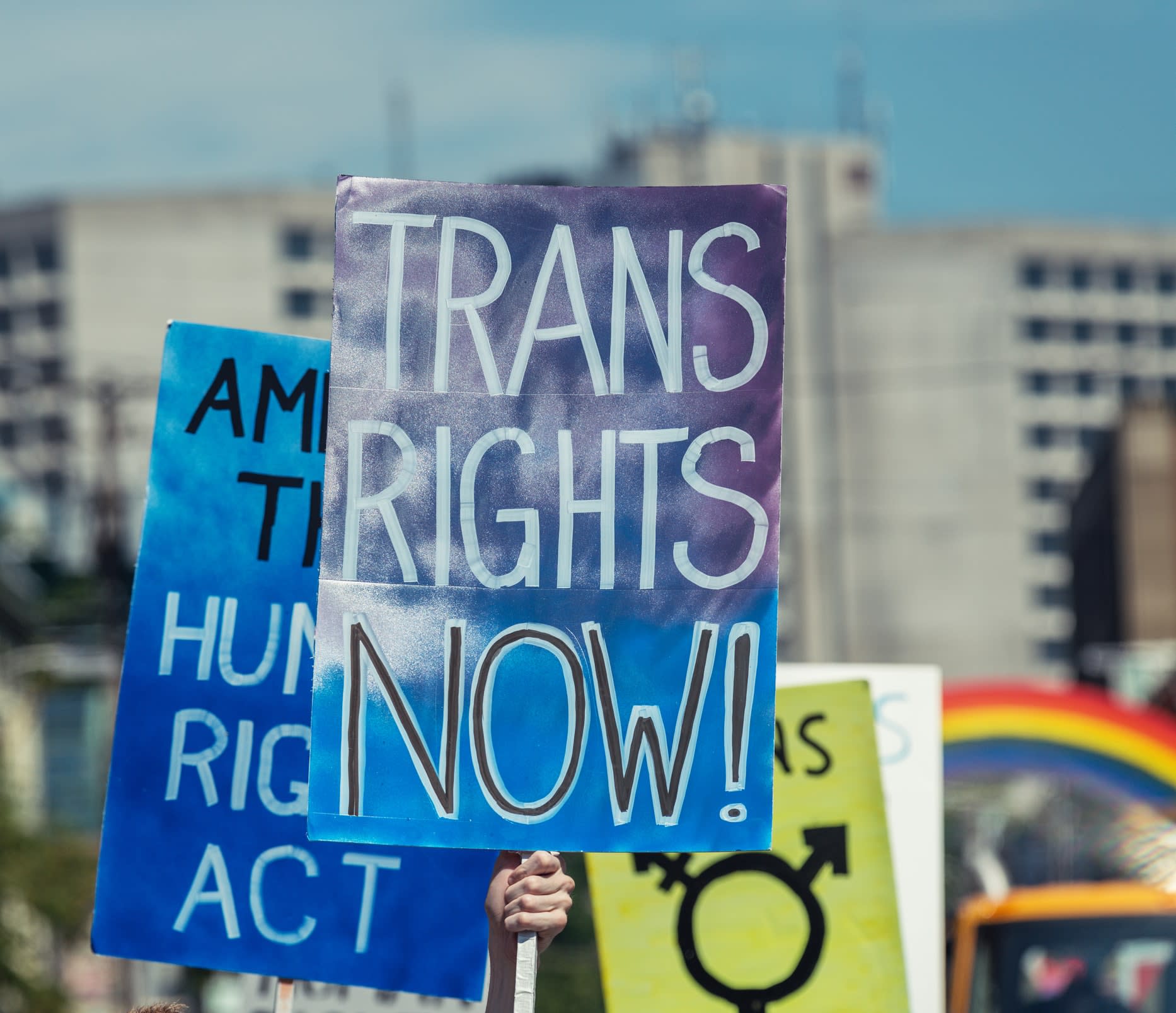 A sign reading "Trans rights now", in front of other similar signs