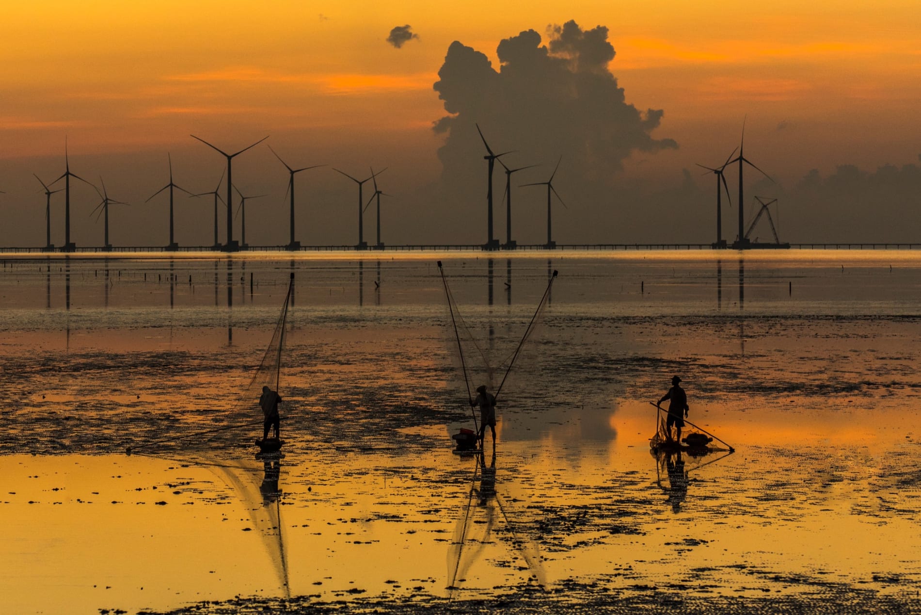 Vietnamese fisherman with wind turbines in the background.