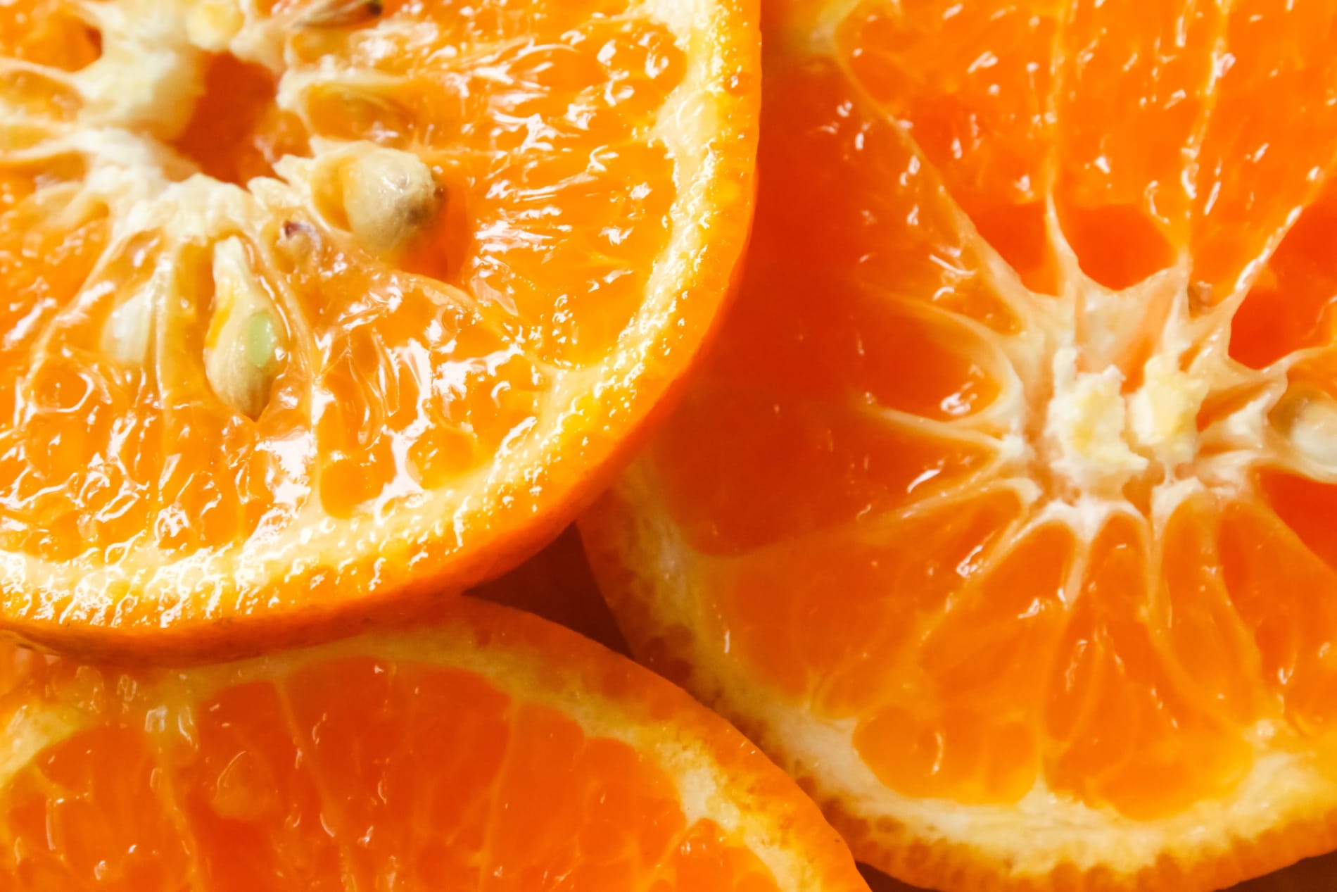 Close-up of orange slices