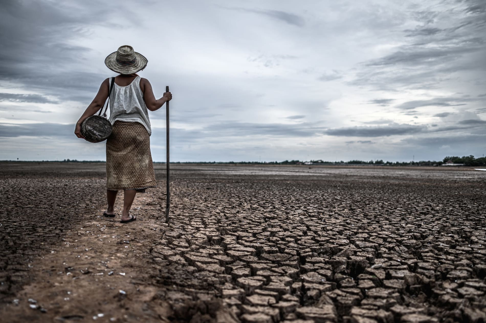 Agricultural woman holding a staff and fishing trap photographed from behind standing on arid land with a dark sky beyond 