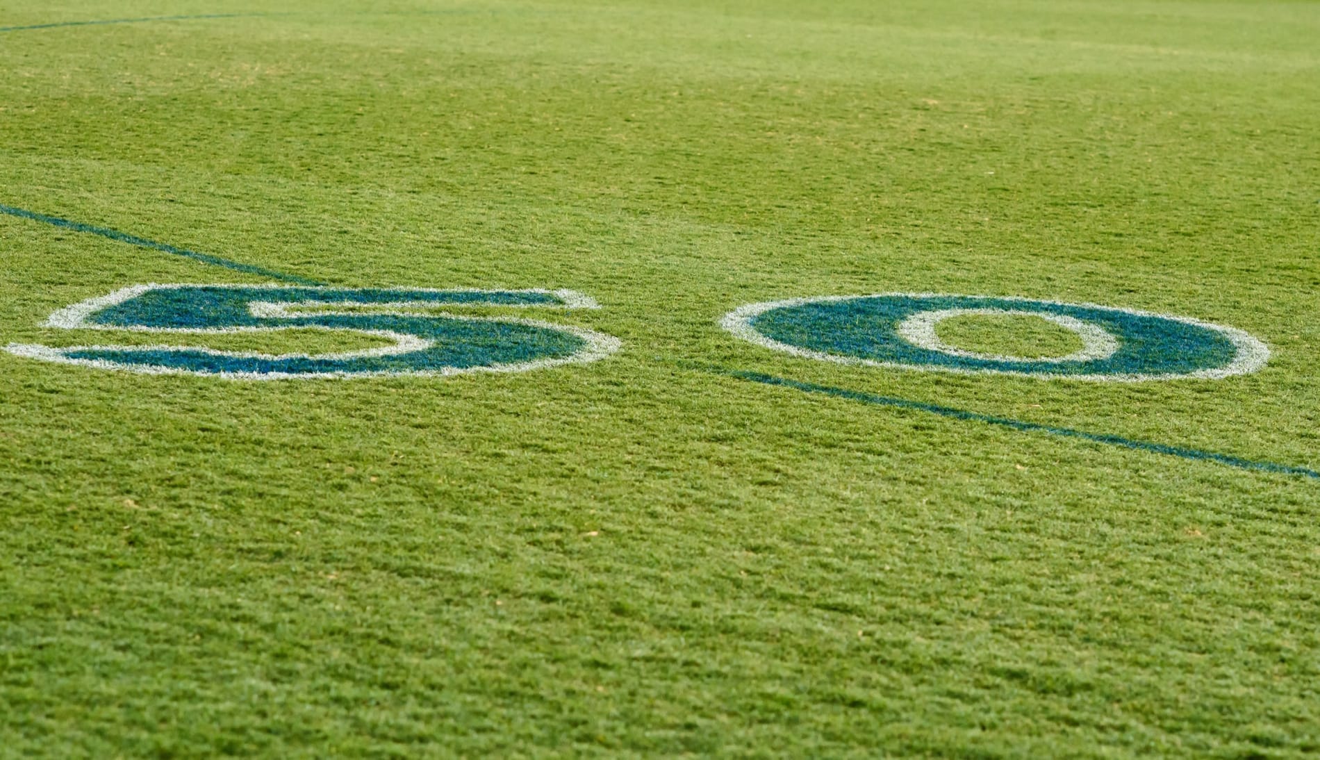 The 50-metre line on an AFL field