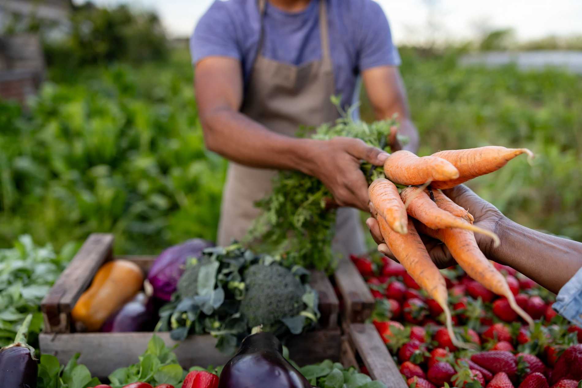 Close-up of a man with boxes of vegetables and fruit