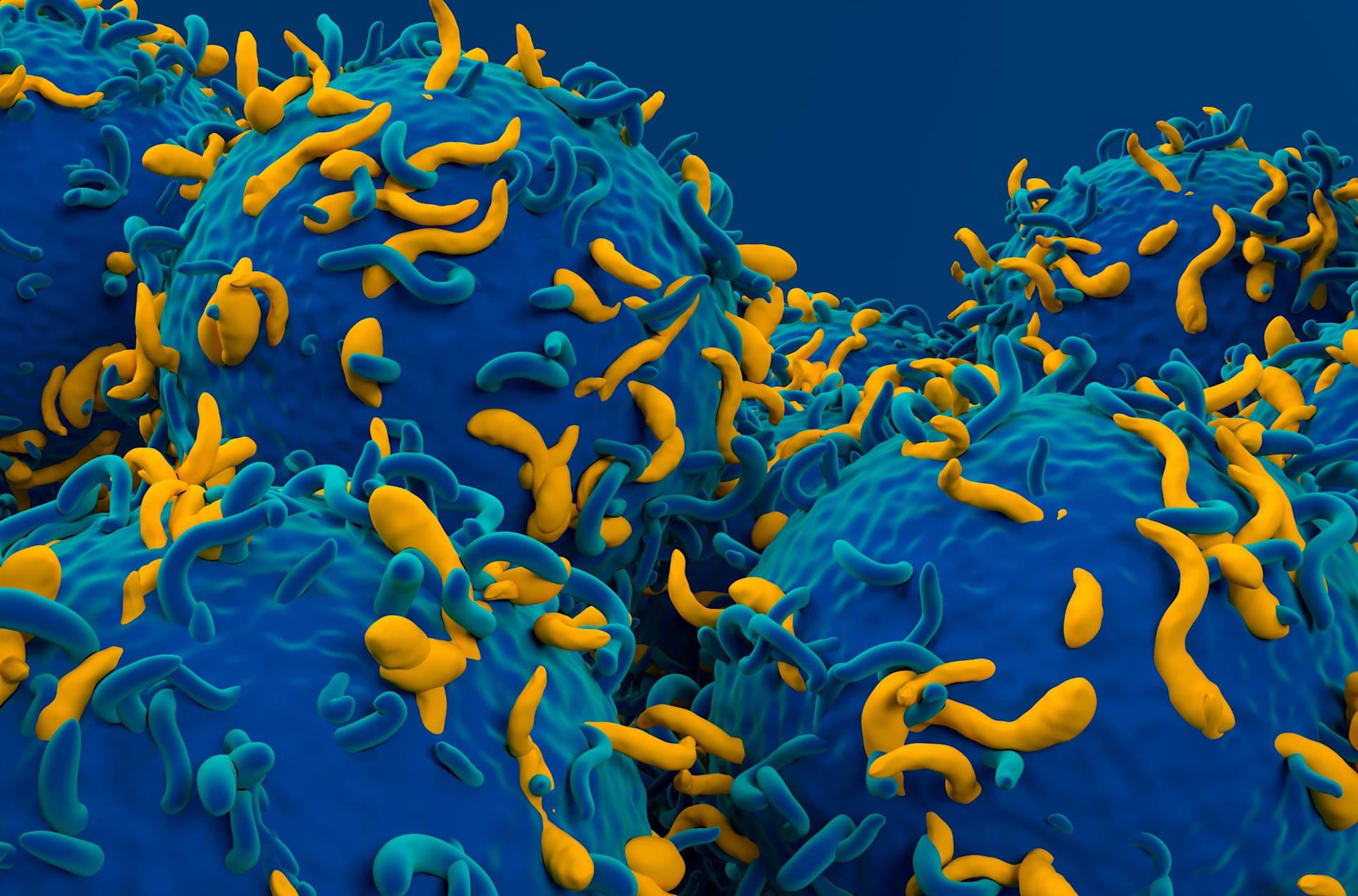 Stylised image of blue and yellow chimeric T cell receptors