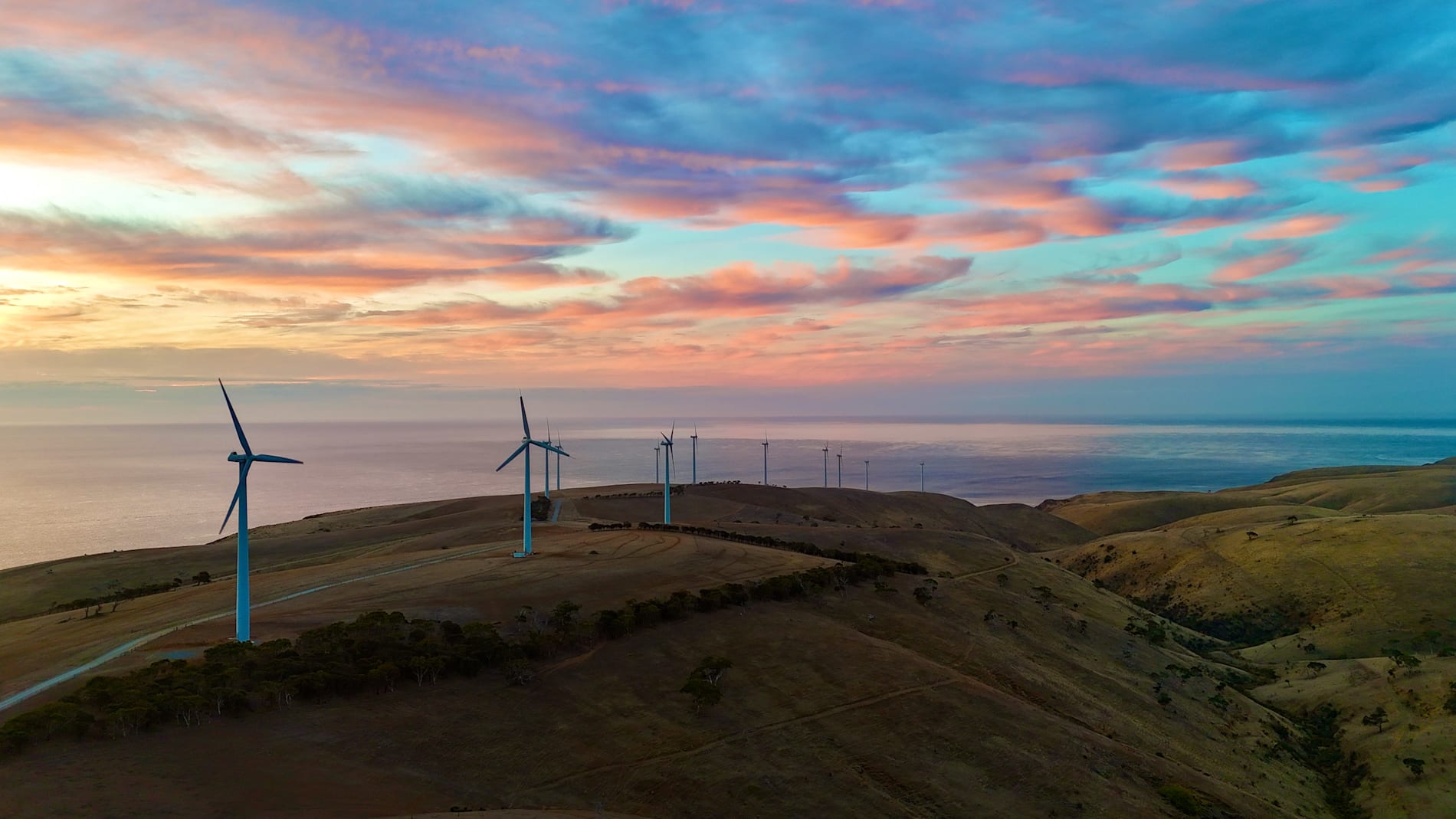 Wind turbines stretching across rolling coastal hills at dusk, with views of the open ocean. 