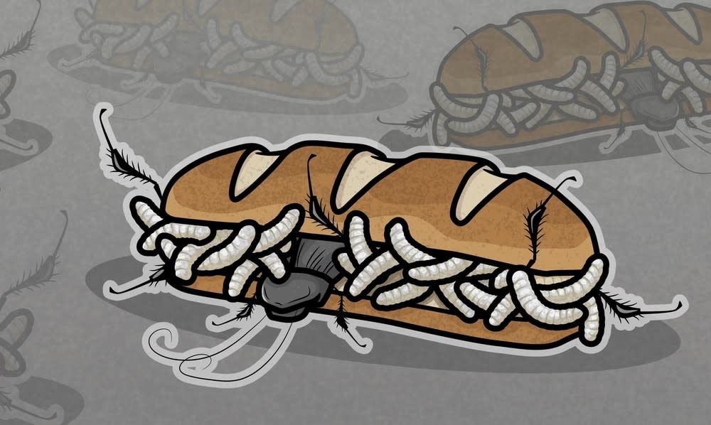 Baguette filled with bugs