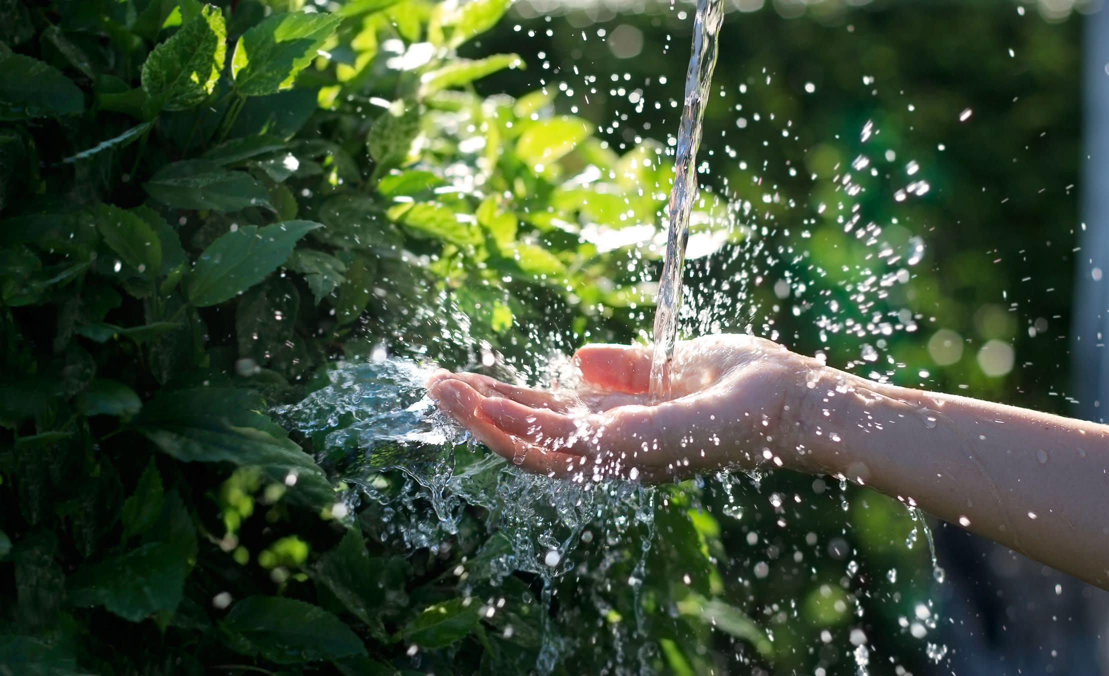 Water pouring into hand