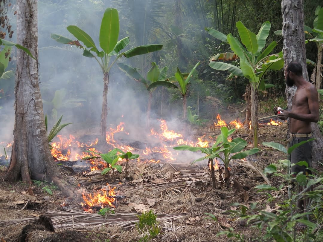 A farmer burns vegetation in preparation for planting crops.