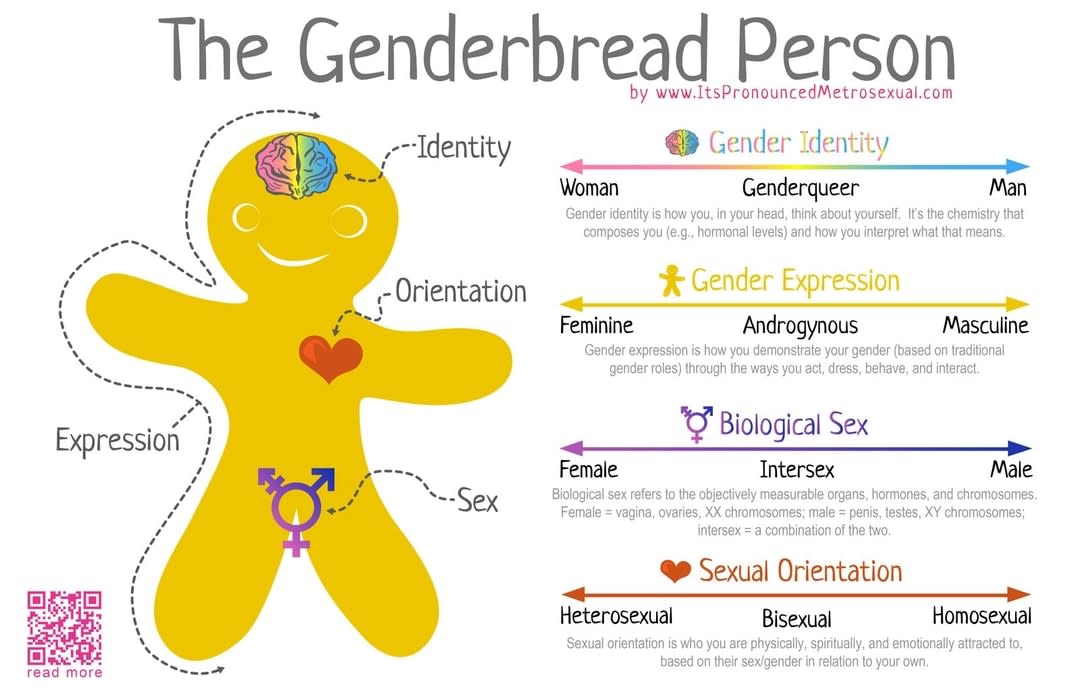 Sam Killerman's Genderbread Person illustration