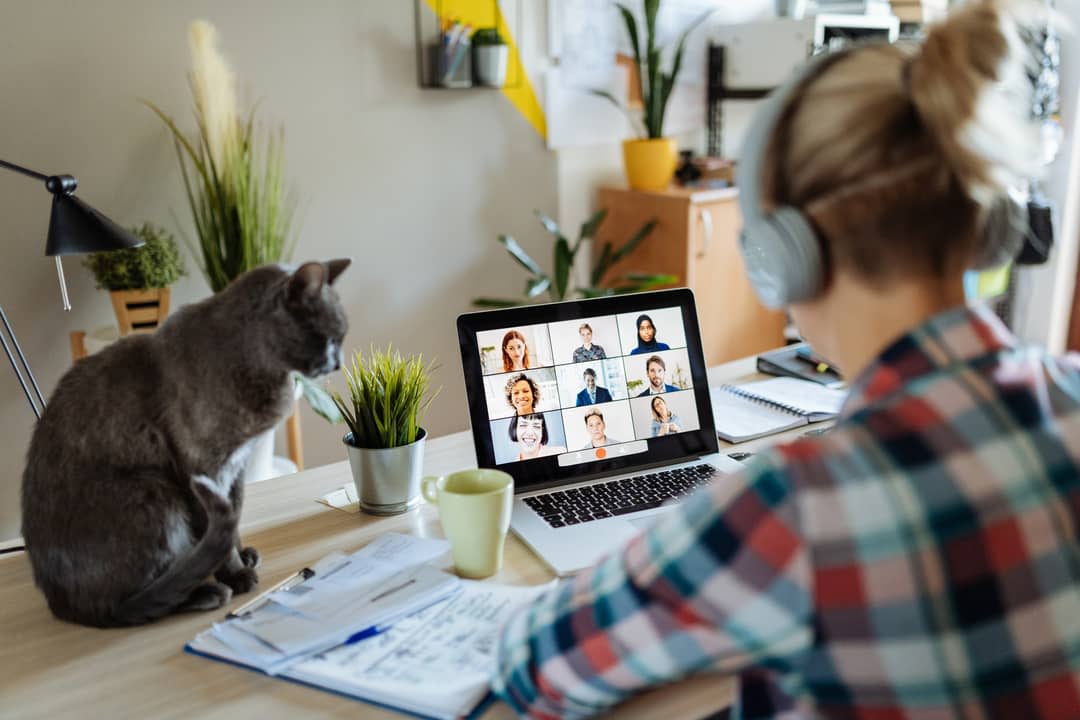 A woman working from home with headphones on looking at a computer with her cat on the desk.