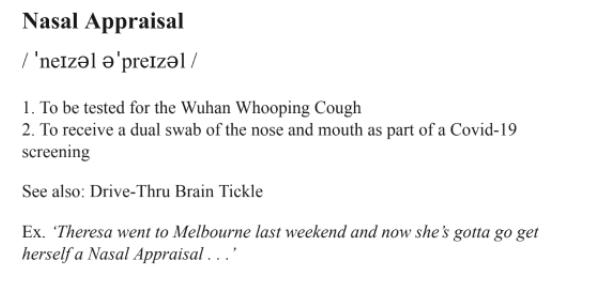 Mock dictionary definition of the phrase ‘Nasal Appraisal'