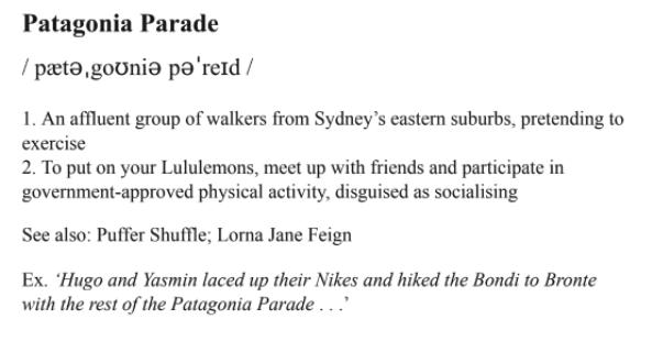 Mock definition of the phrase 'Patogonia Parade'