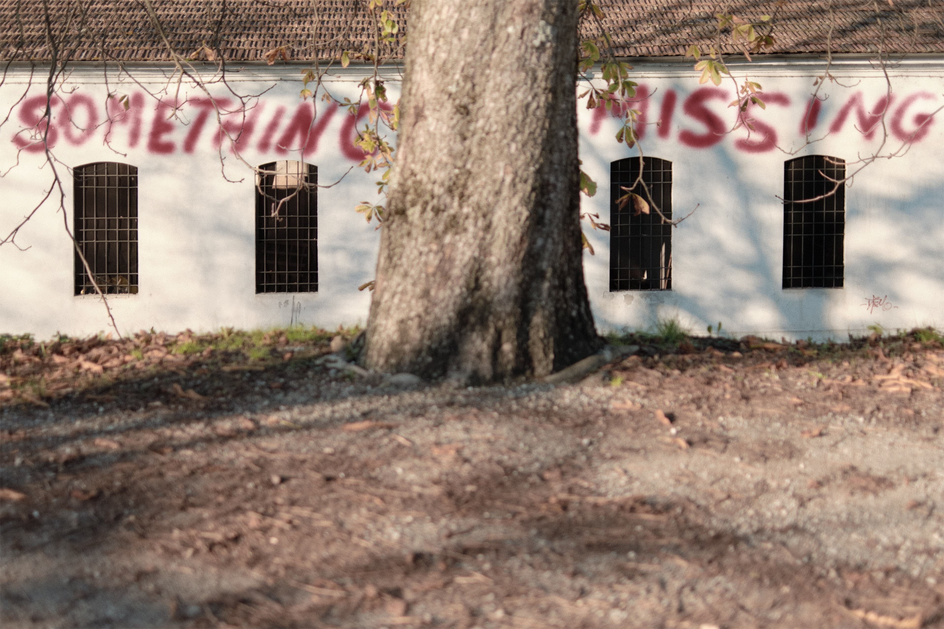 A building with the words 'Something missing' spraypainted on the side, with a tree trunk in the foreground