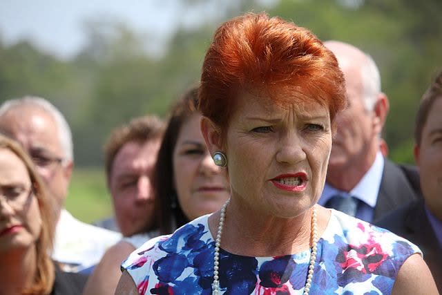 Pauline Hanson with others in the background
