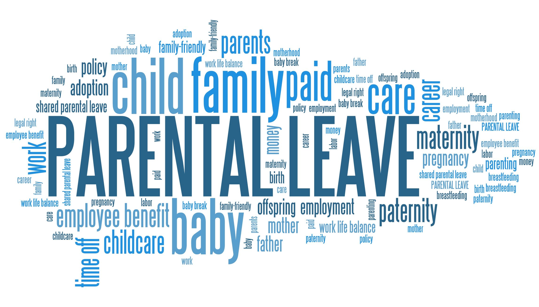 Paid parental leave word cloud