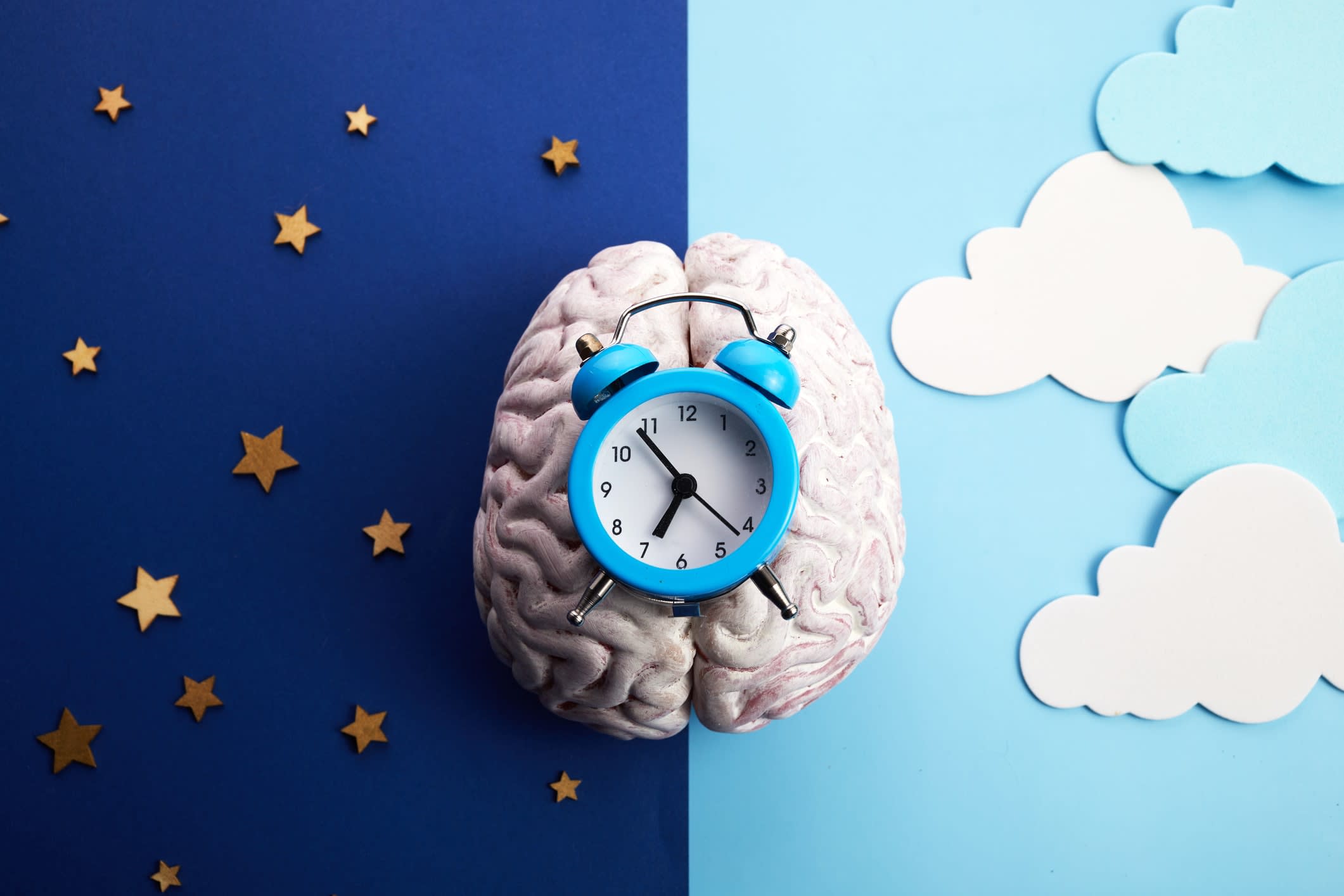 Sylised image of a brain and an alarm clock, with backgrounds indicating night and day. Circadian clock concept