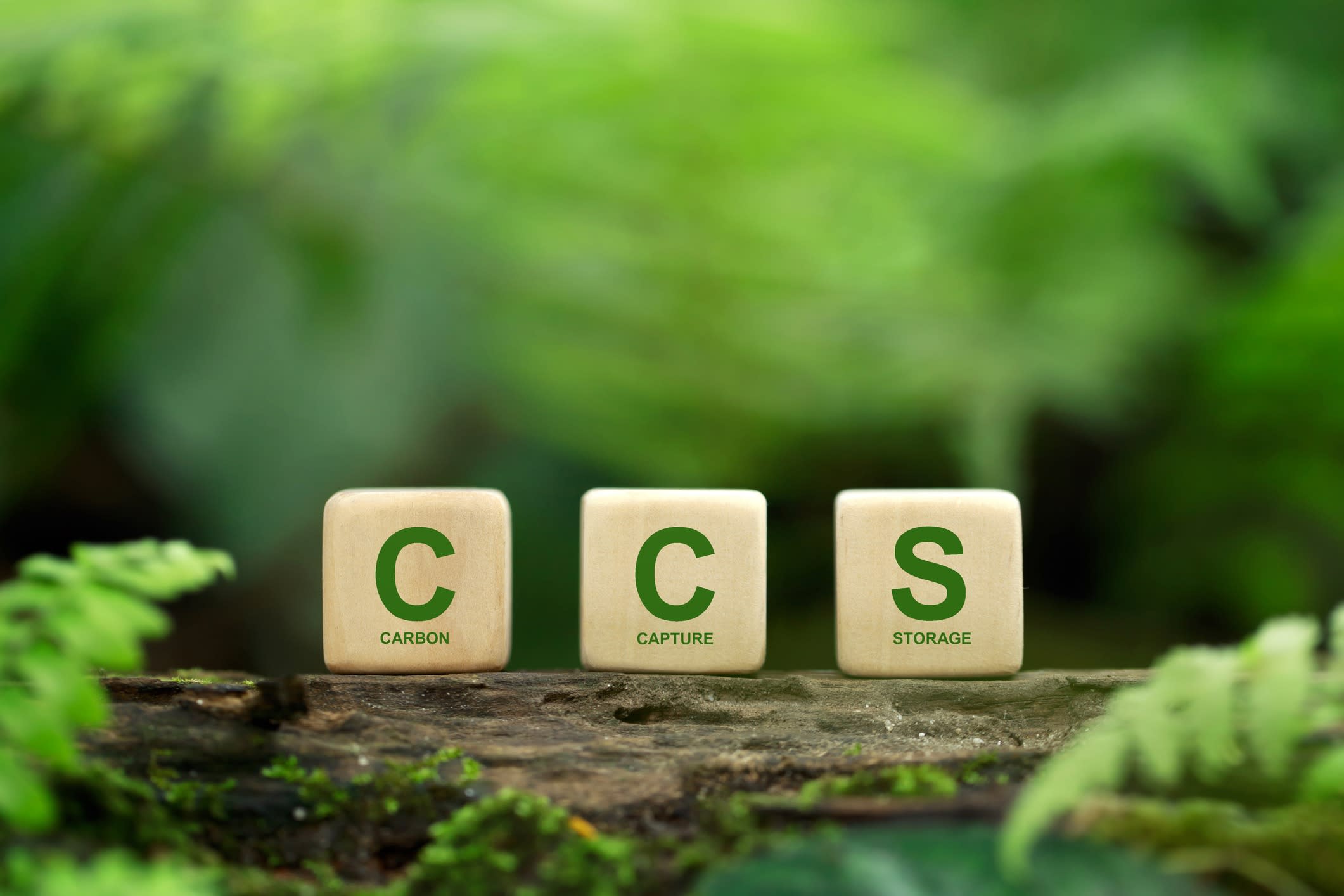 CCS acronym for Carbon Capture Storage words CCS on a wood block on the environmental background.