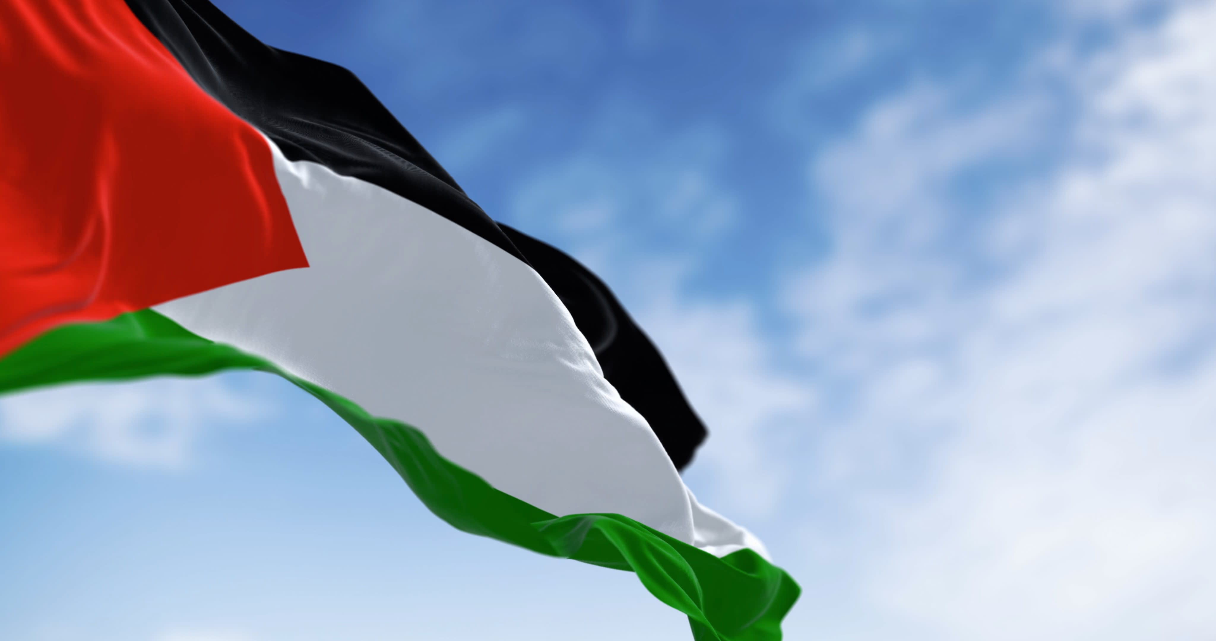 A Palestinian flag flying on a clear day