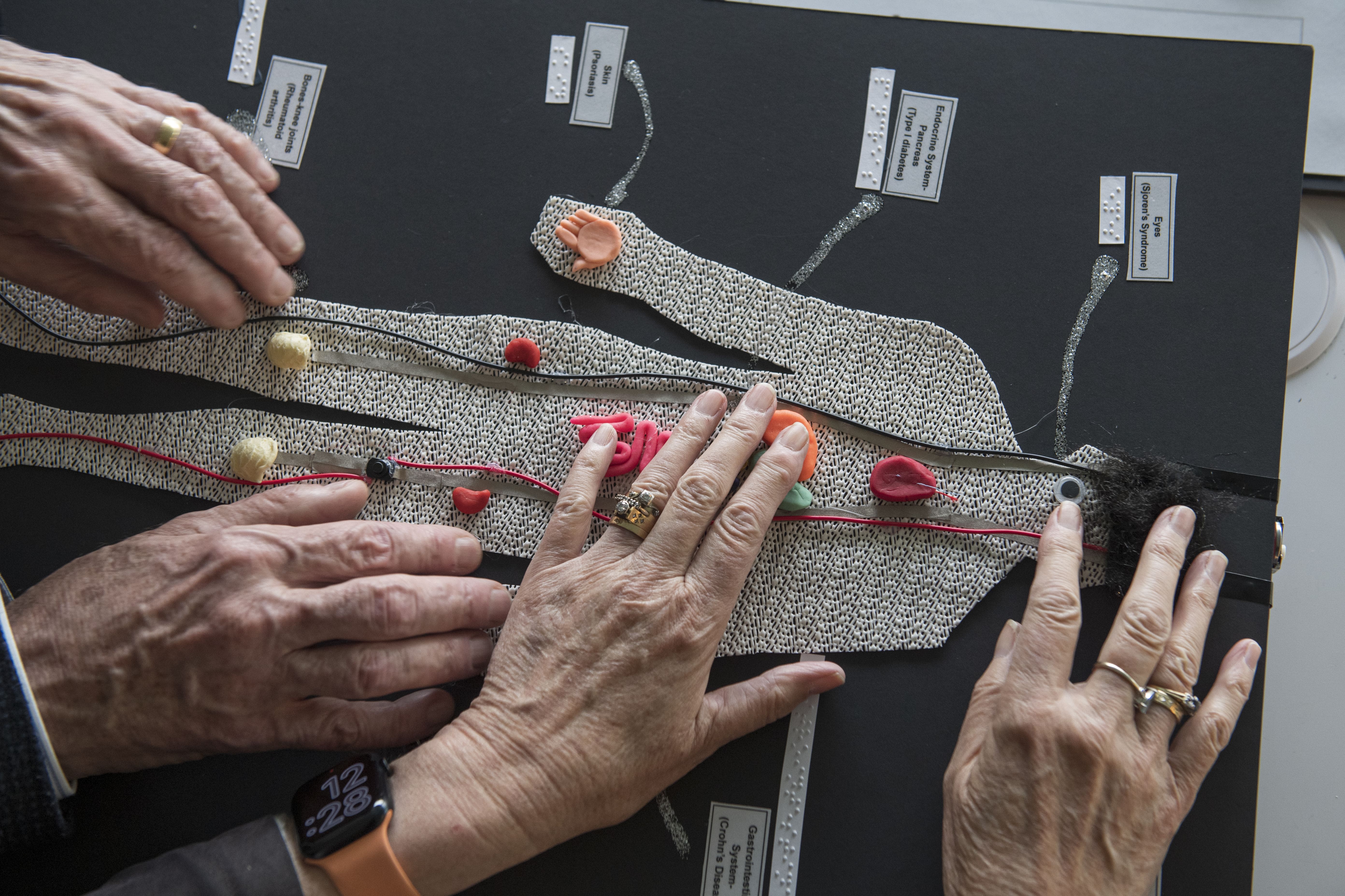 Pairs of hands feeling an Sensory Science exhibit 