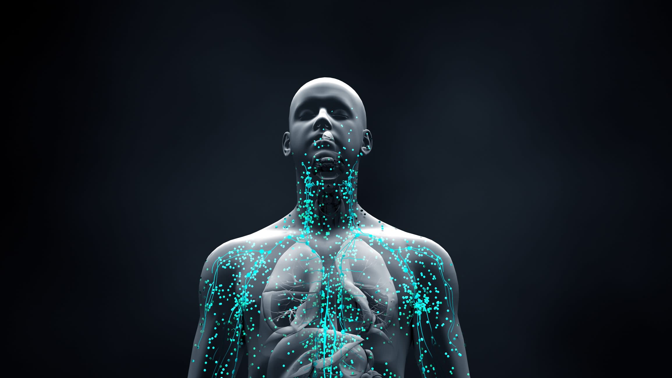 Stylised illustration depicting the immune system throughout the body 